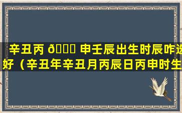 辛丑丙 🐘 申壬辰出生时辰咋选好（辛丑年辛丑月丙辰日丙申时生人命运）